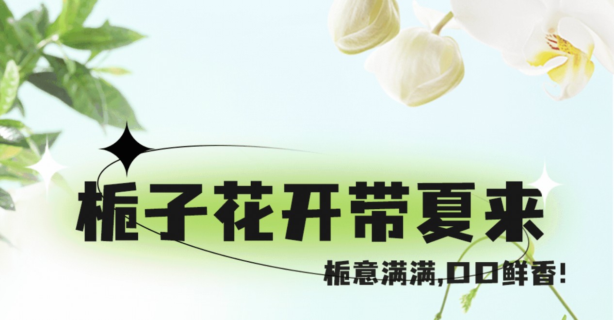 栀子花茶7月新上市 ，栀意满满，带你入夏！