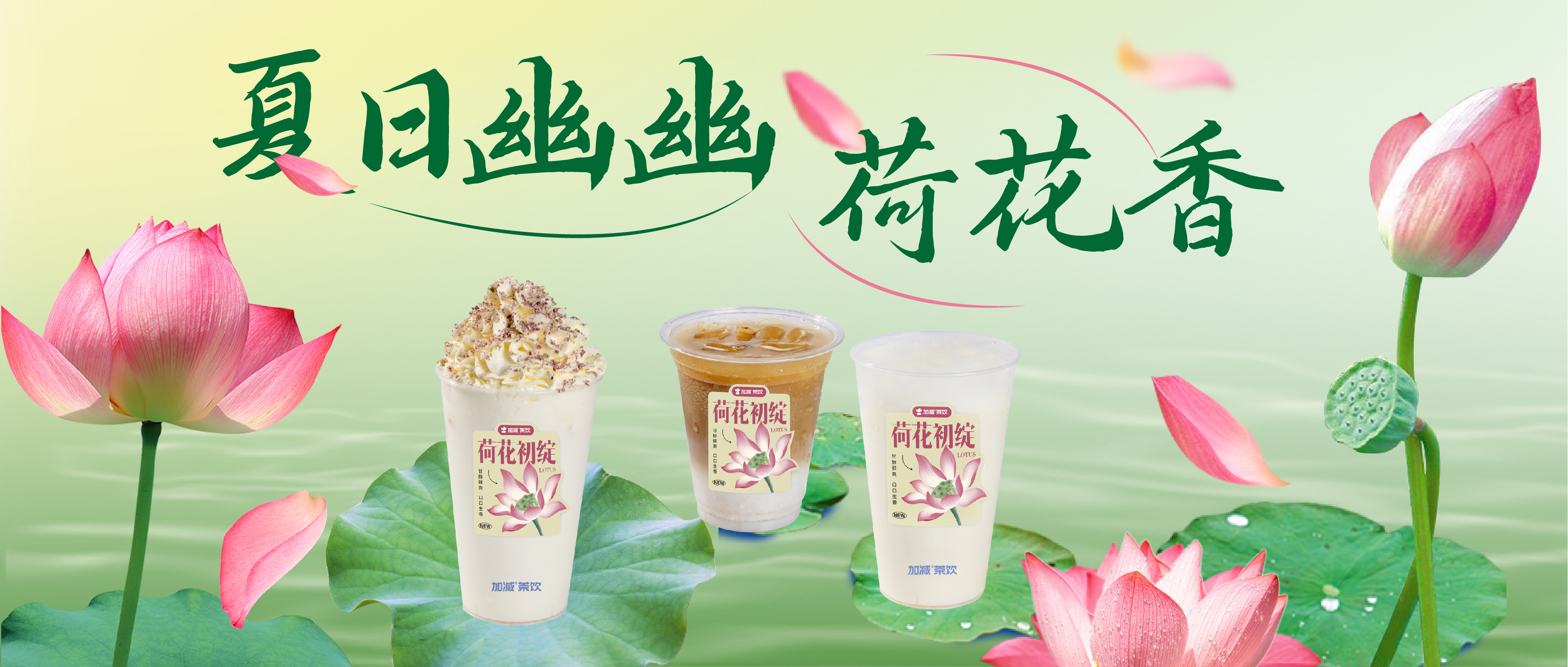 荷花新茶首次上线，1000张尝鲜券免费送 ！